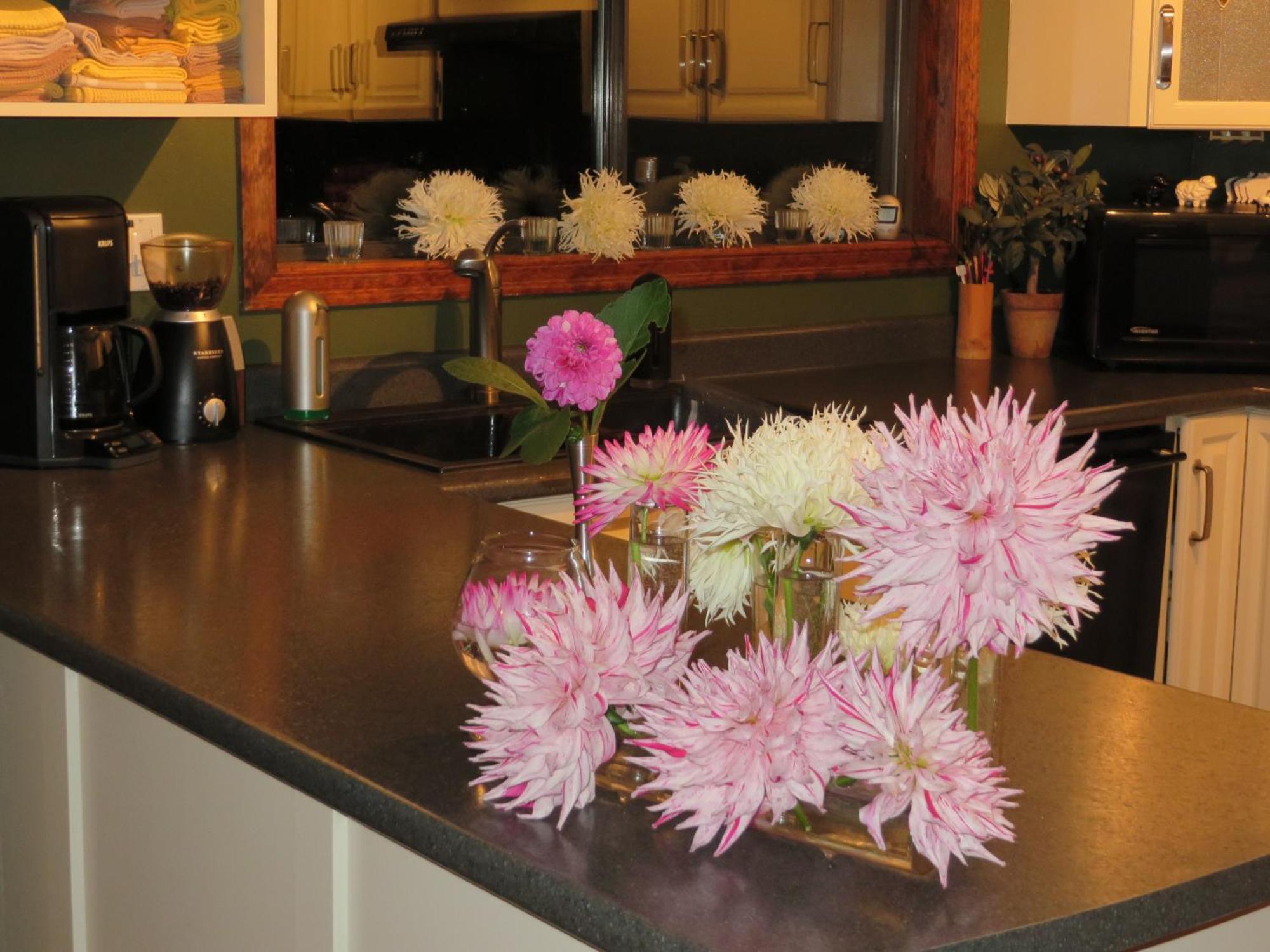 Misty Meadows B&B Langford Luaran gambar