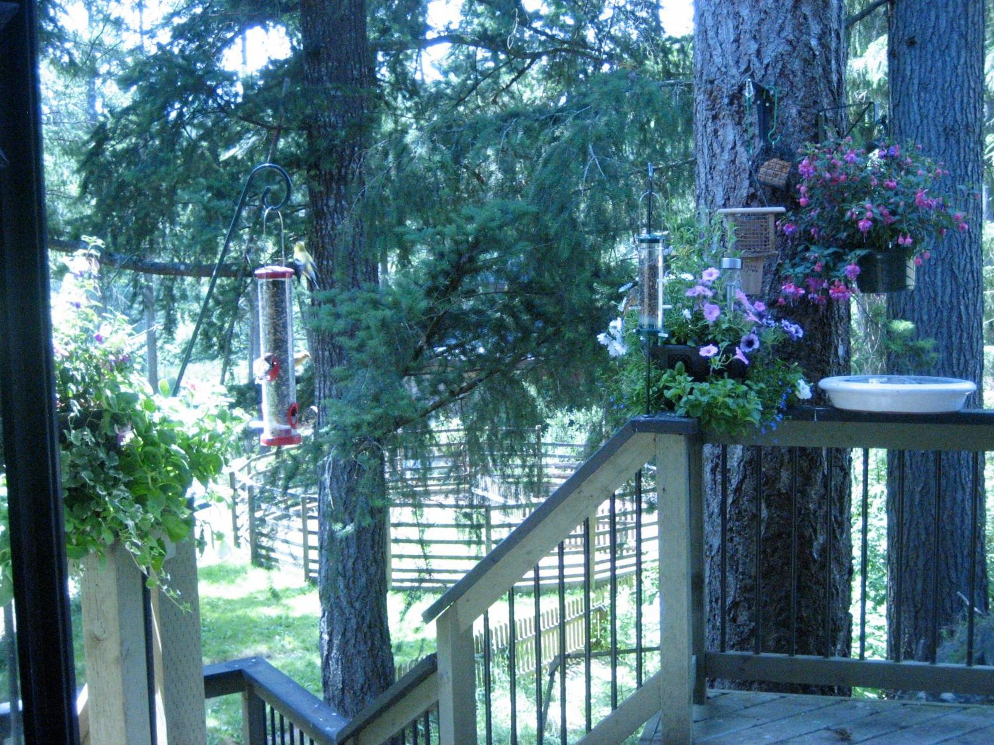 Misty Meadows B&B Langford Luaran gambar
