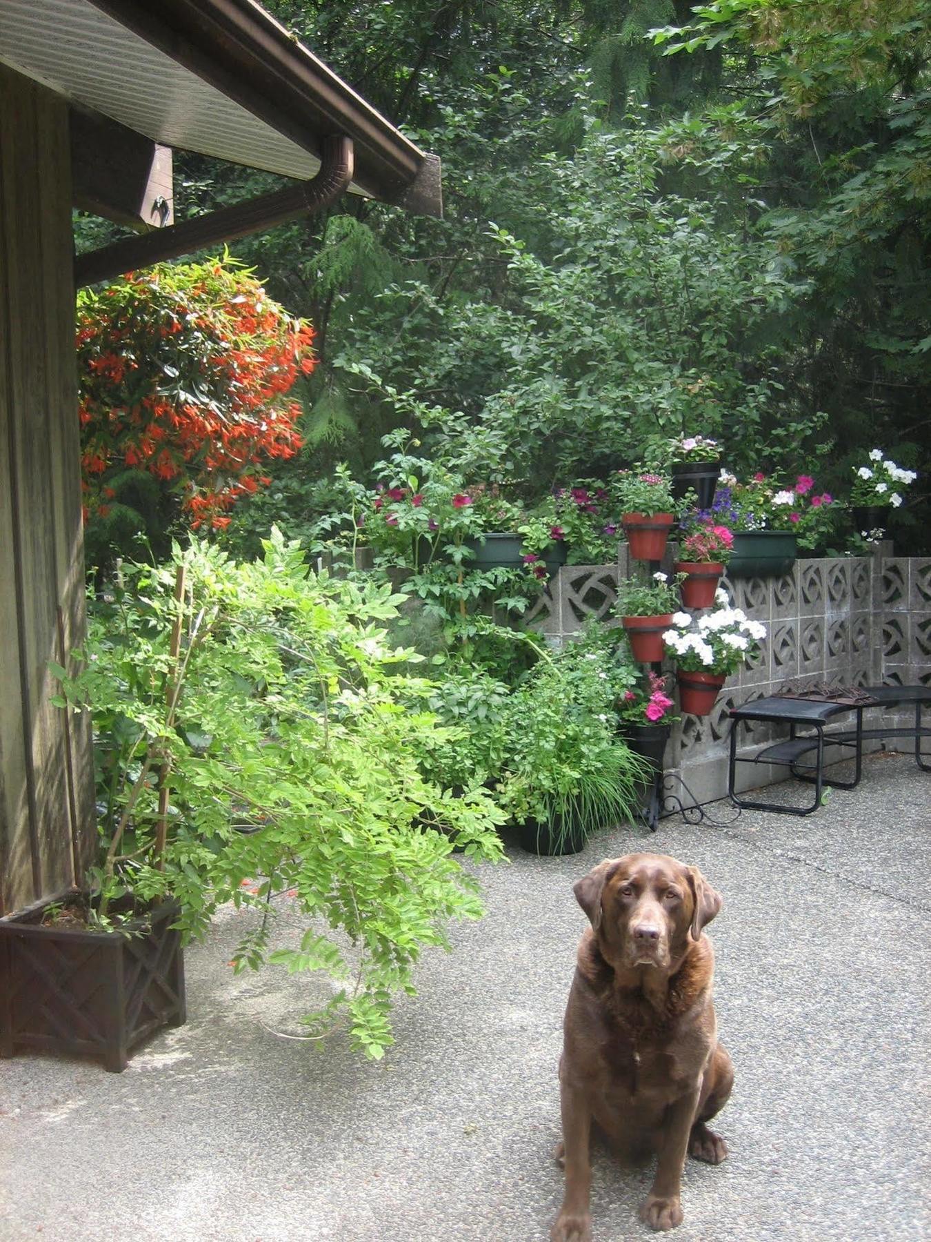 Misty Meadows B&B Langford Luaran gambar