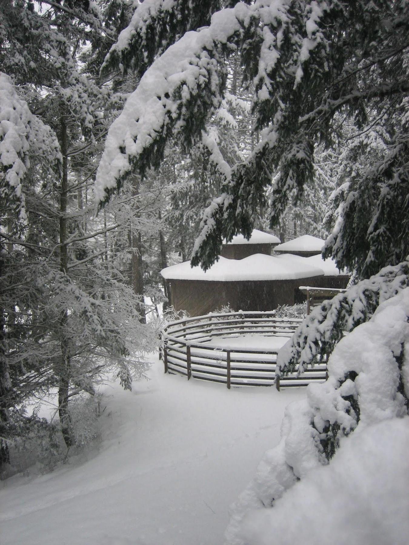Misty Meadows B&B Langford Luaran gambar