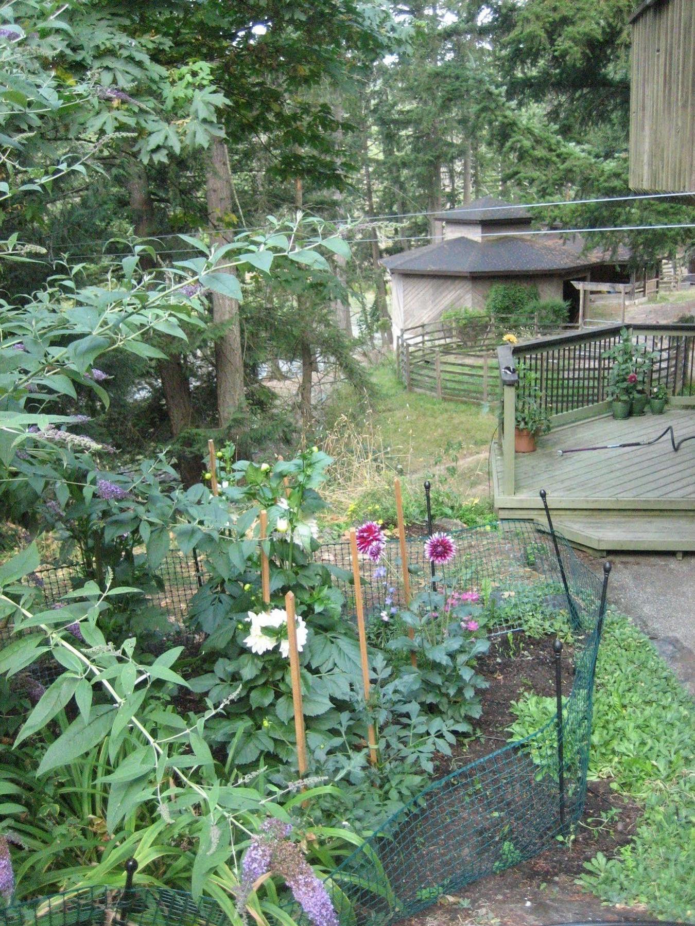 Misty Meadows B&B Langford Luaran gambar