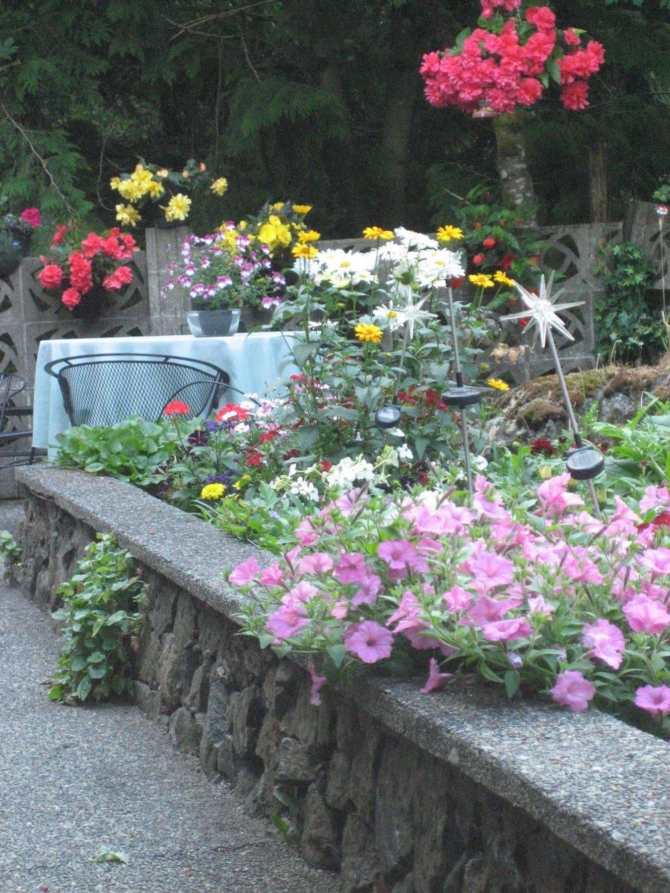 Misty Meadows B&B Langford Luaran gambar
