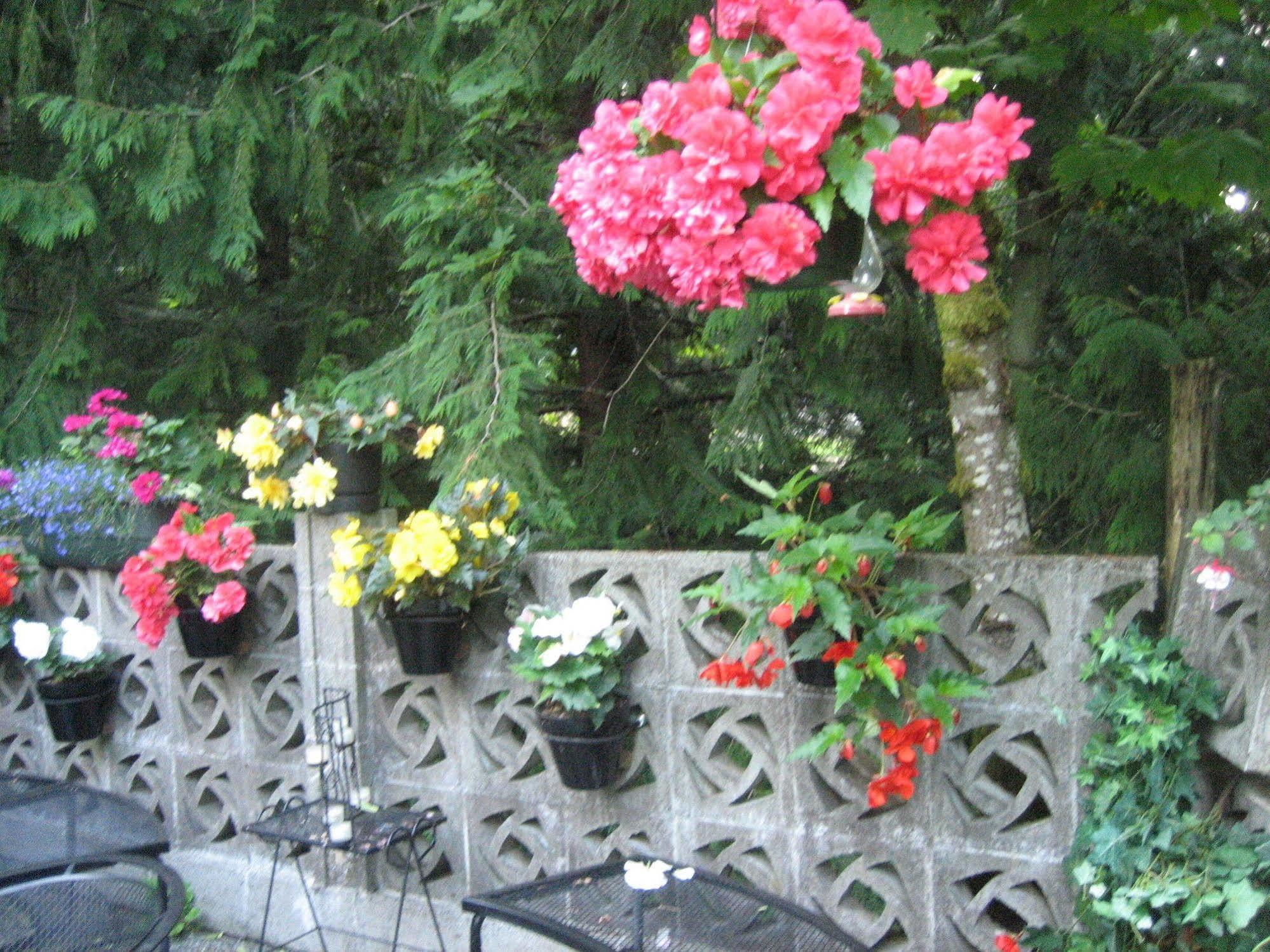 Misty Meadows B&B Langford Luaran gambar